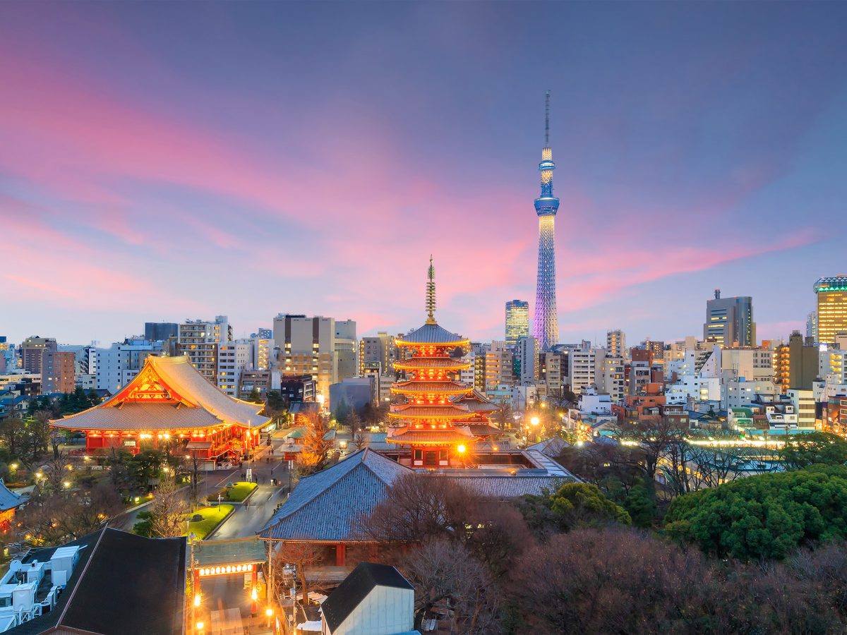 View,Of,Tokyo,Skyline,At,Sunset,In,Japan.